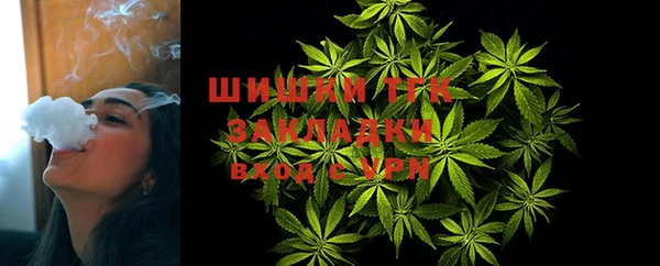 PSILOCYBIN Беломорск