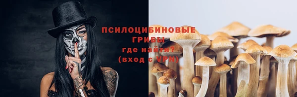 PSILOCYBIN Беломорск