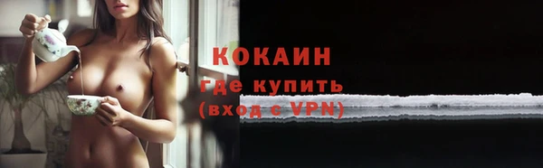 гашик Белокуриха