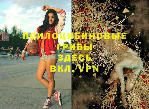 PSILOCYBIN Беломорск