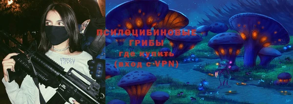 гашик Белокуриха